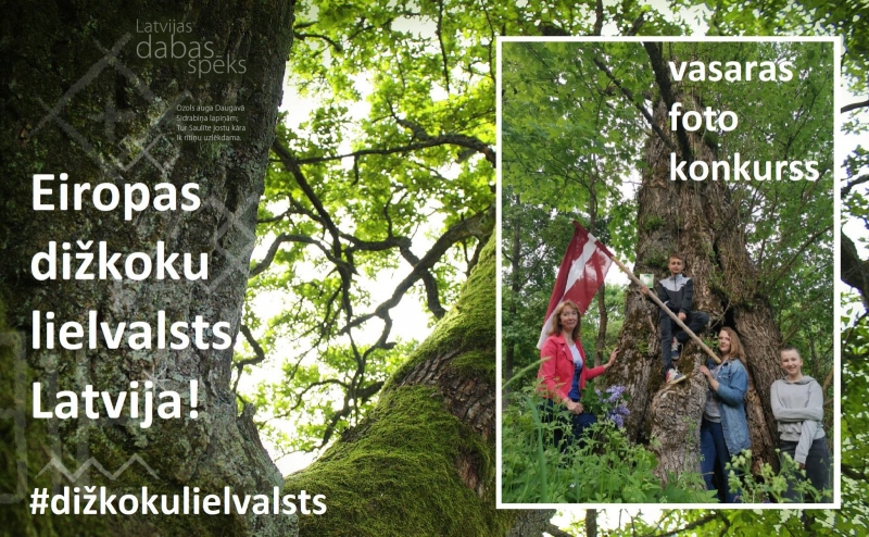 Spēkozola foto konkurss “Eiropas #dižkokulielvalsts Latvija”