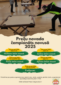 Preiļu novada čempionāts novusā 2025