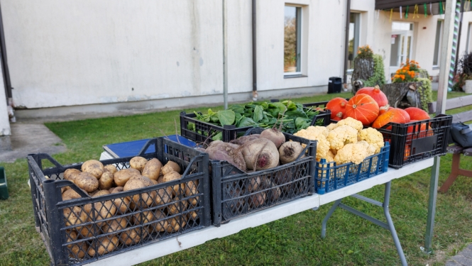 Preiļu pagasta svētki "Mārtiņrožu serenādes"