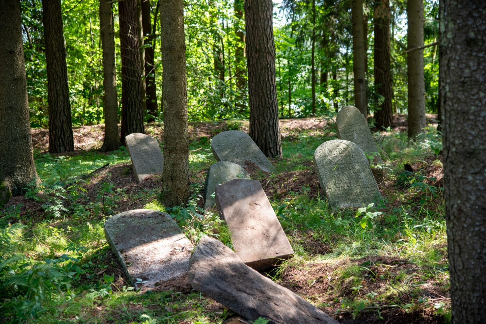 Riebiņos projekta “Riebiņu ebreju kapsētas sakopšanas aktivitātes” ietvaros uzsākti ebreju kapsētas sakopšanas darbi