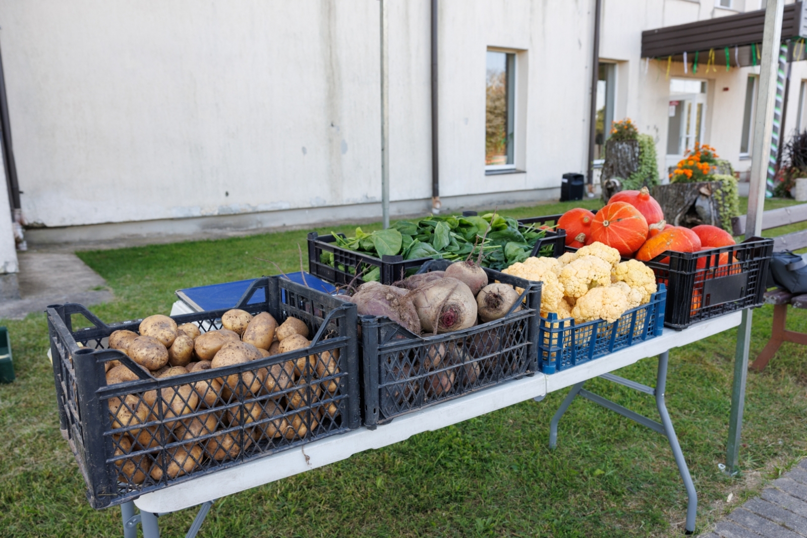 Preiļu pagasta svētki "Mārtiņrožu serenādes"