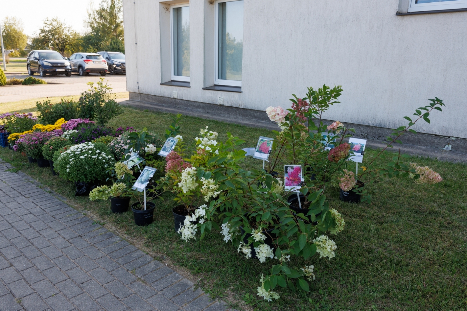 Preiļu pagasta svētki "Mārtiņrožu serenādes"