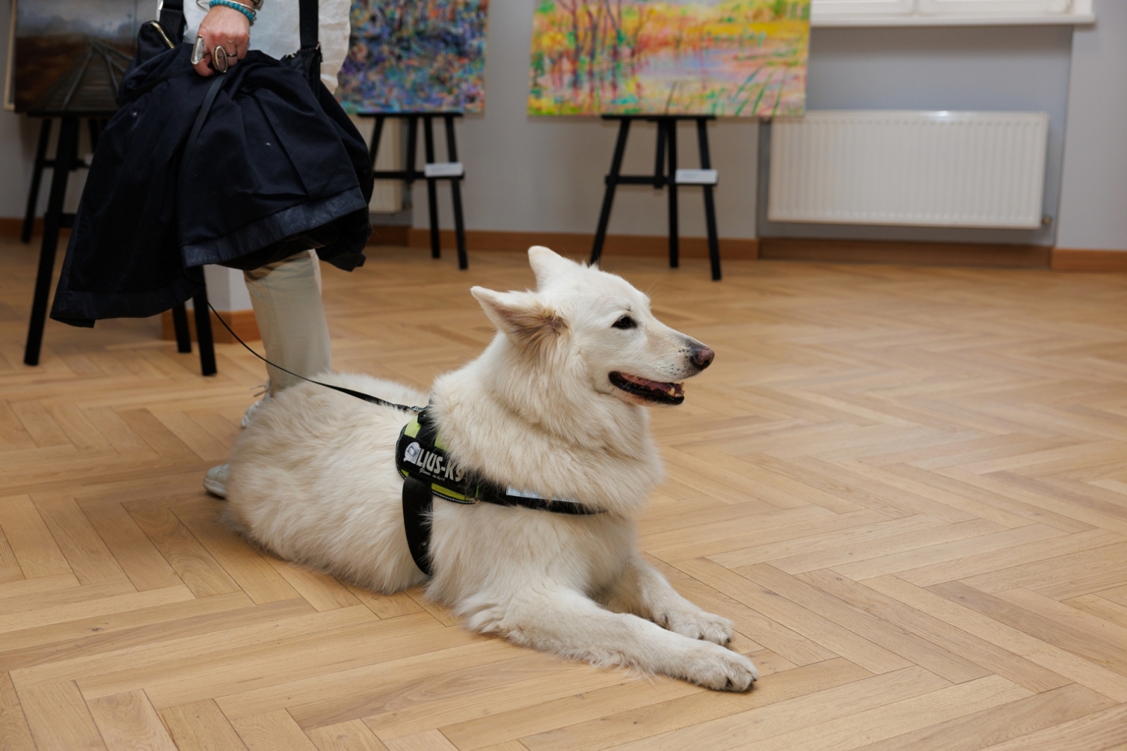 Konkursa “10. Jāzepa Pīgožņa balva Latvijas ainavu glezniecībā” galvenās balvas pasniegšanas ceremonija